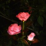 LAST DAY 50% OFF - SPRING ARTIFICIAL ROSE SOLAR GARDEN STAKE LIGHTS