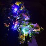 Solar Carnation Flower Garden Lights(SET OF TWO)