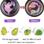 🔥Easter Hot Sale 50% OFF🔥Easter Magic Hatching Growing Dinosaur Eggs