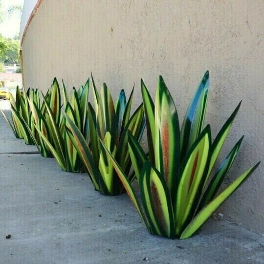 🔥LAST DAY 49% OFF🎁 Anti-rust Metal Tequila Agave Plant